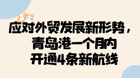 card-image image wmb2b26020902.png